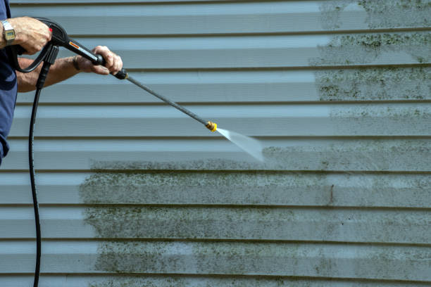 Best Dumpster Area Cleaning  in Chester, CA
